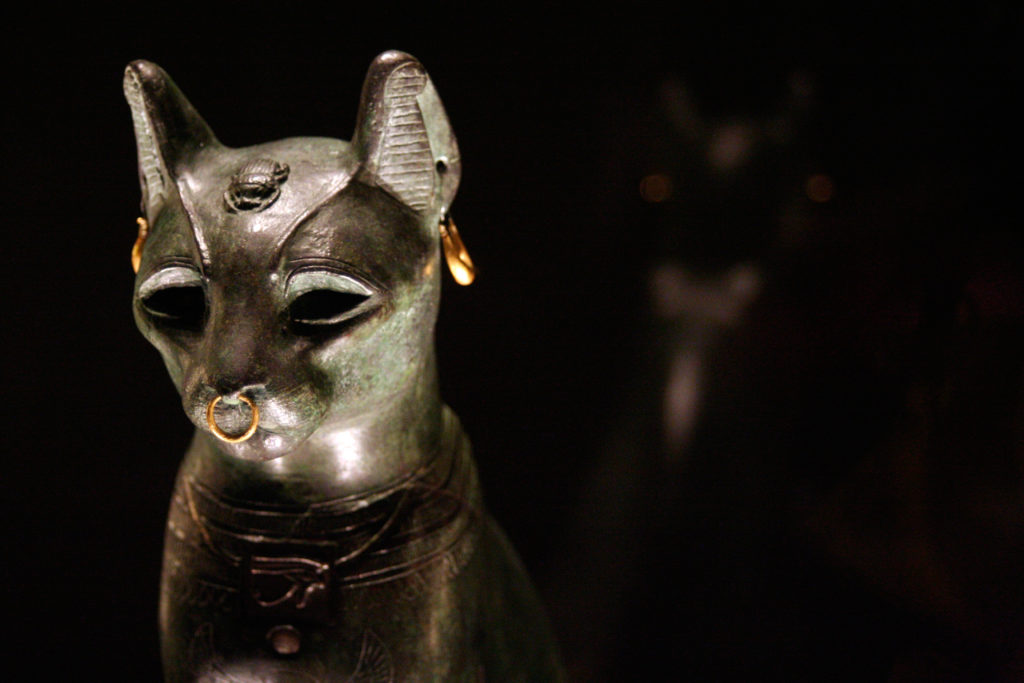 Sacred Cats In Ancient Egypt Tailster Blog