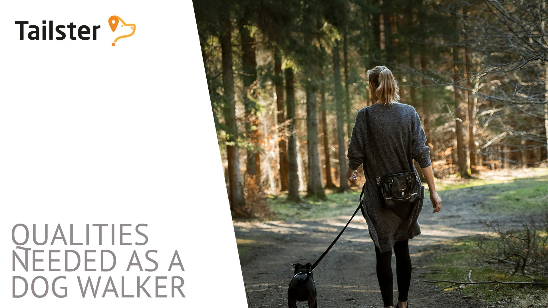 What Personal Qualities Do I Need To A Dog Walker?