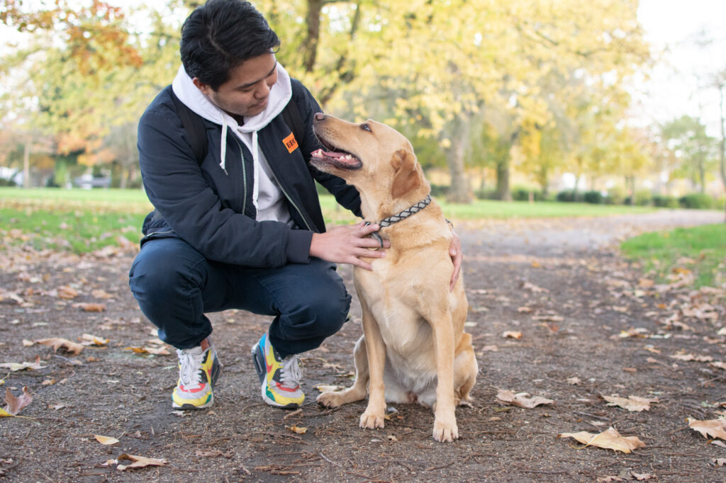 London dog walker