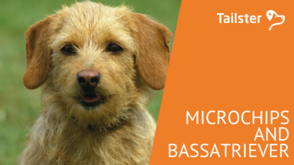 Microchip Bassatriever