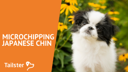 Microchip Japanese Chin