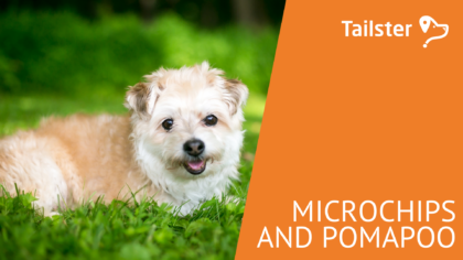 Microchip Pomapoo