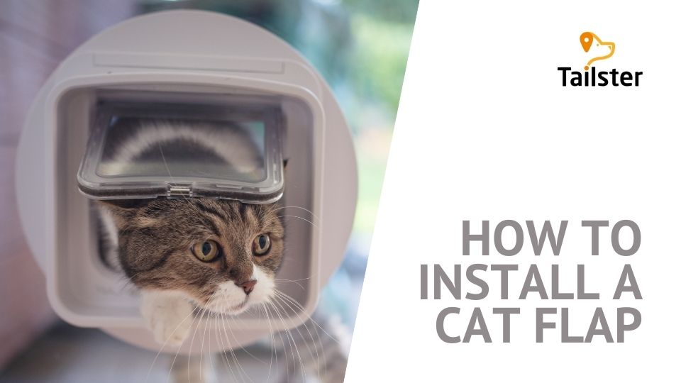 How To Install A Cat Flap In Simple Steps