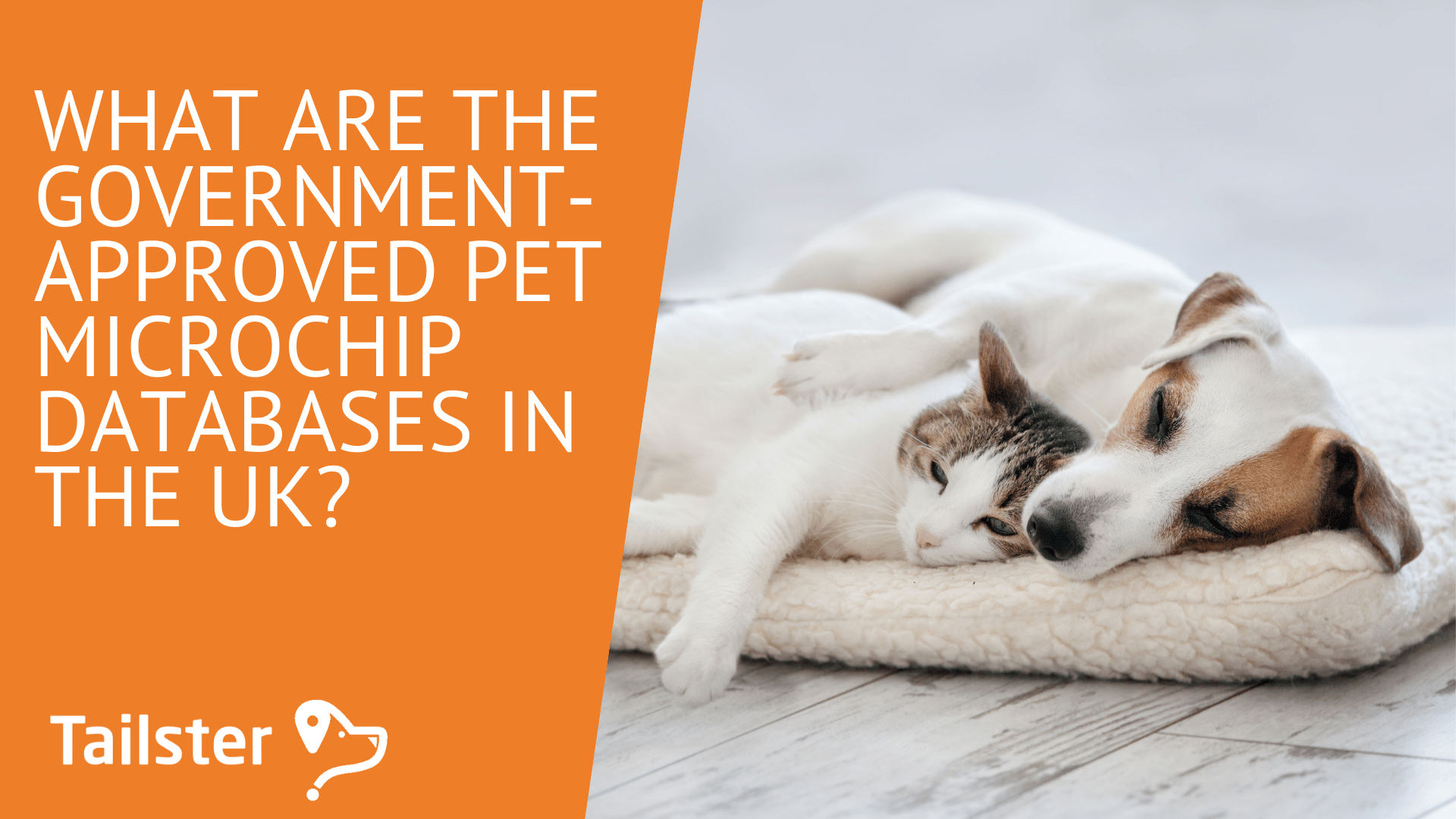 How Much Does It Cost To Microchip A Dog Uk