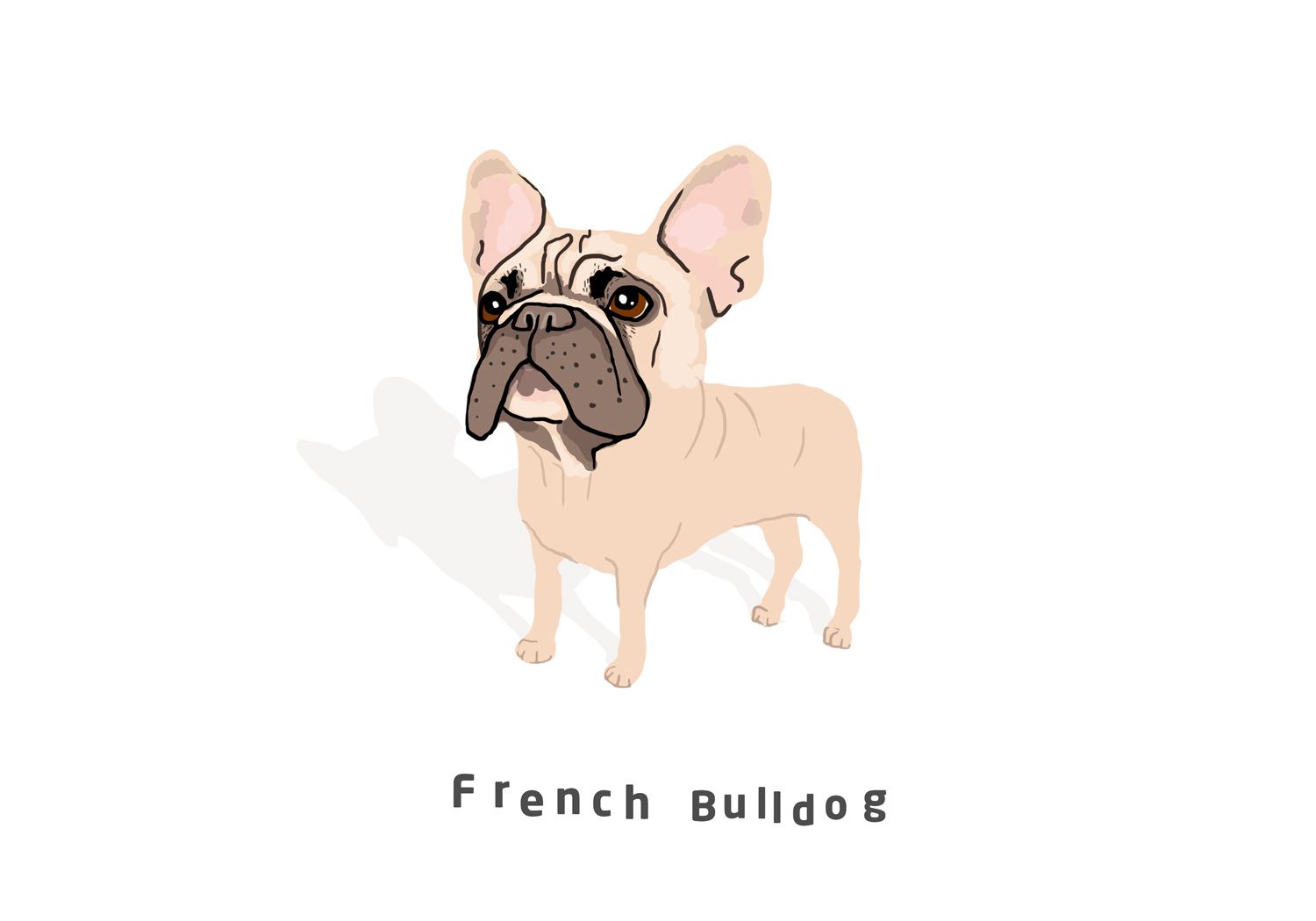 frenchie blog