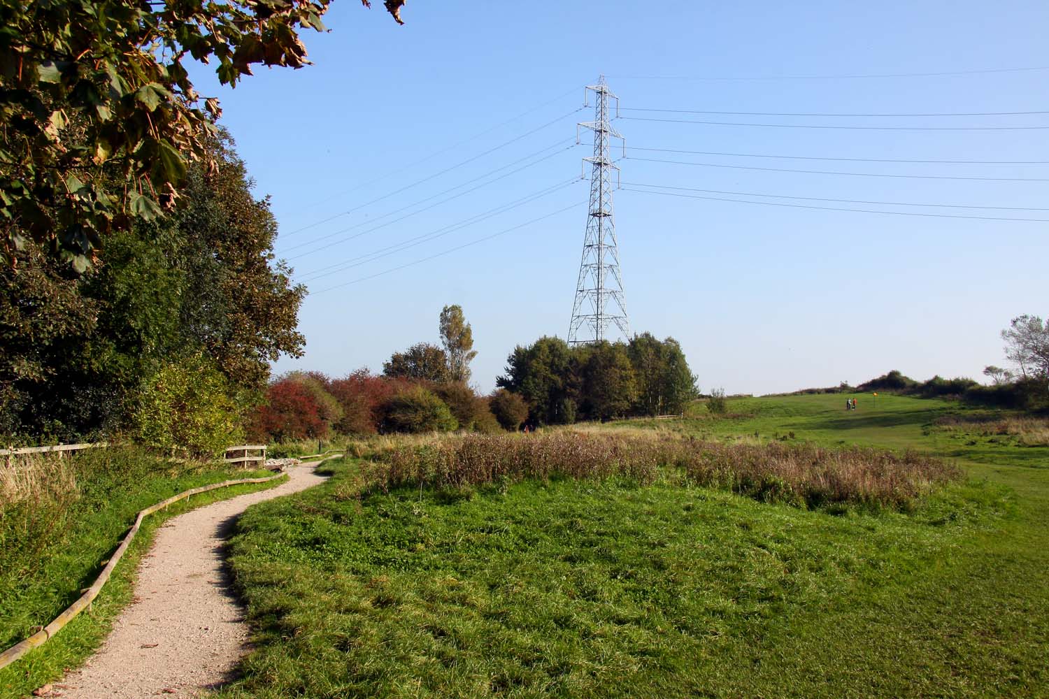 3 Best Dog Walking Spots In And Around Blackpool