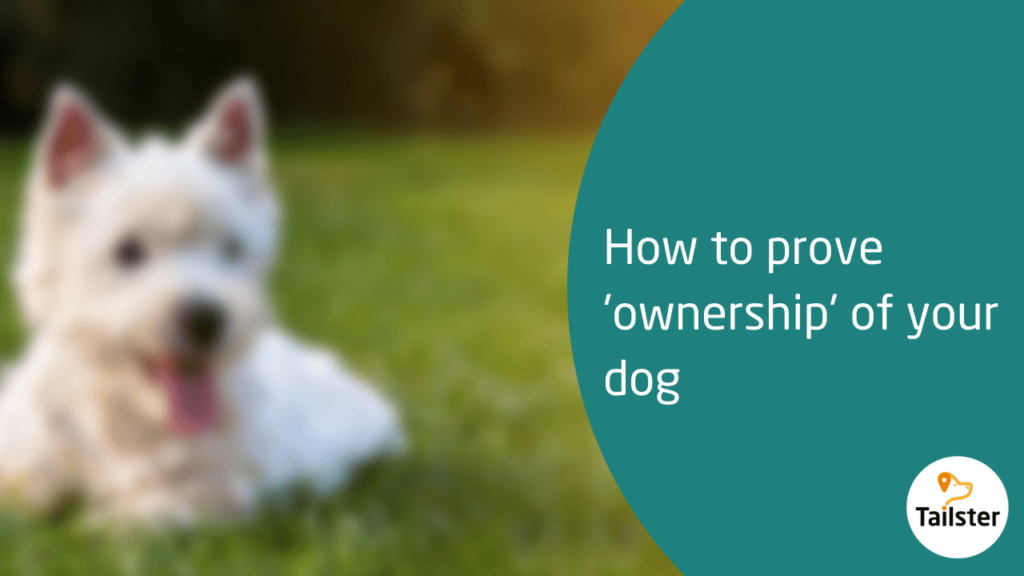 does-a-microchip-prove-ownership-of-my-dog