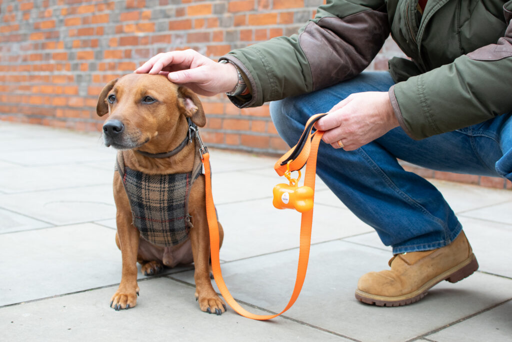 Does Your Dog Need A Coat This Winter?