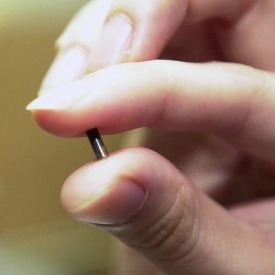 pet microchip held between fingers