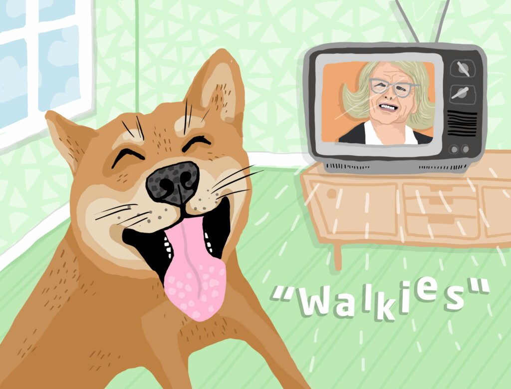 walkies illustration tailster