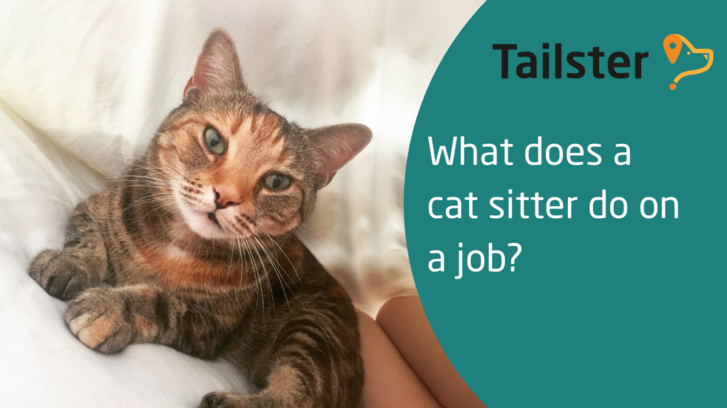 pet-businesses